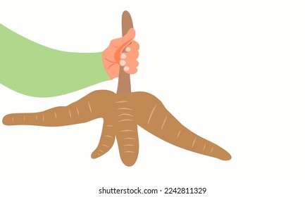 farmer's hand holding a cassava tree with free space for text