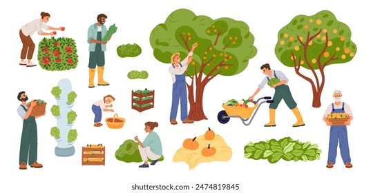 Farmers harvest fruits and vegetables. Crop picking season. Happy people with wooden crates and baskets. Gardeners pluck apple from trees. Garden bed and berry shrubs