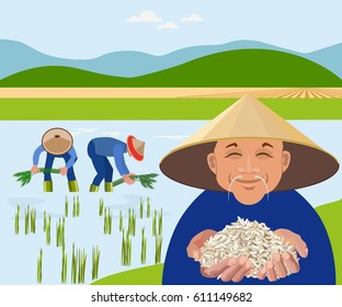 Farmers harvest rice in paddy field. Vector illustration