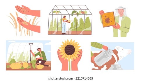 Farmers harvest their crops. Agricultural work