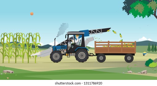 Farmers are harvesting agricultural products using machines.