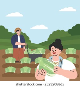 farmers harvesting cabbages in the fields
