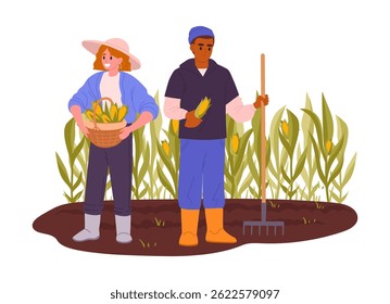 Farmers harvesting corn. Female and male farmers crop vegetables, organic food production flat vector illustration. Farmland harvesting scene