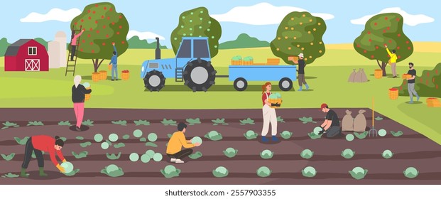 Farmers harvesting crops. Scene with farm workers picking crop of fruit and vegetables in garden. Agriculture and farming. People work on rural field. Cartoon Flat vector illustration