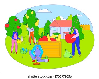 Farmers harvesting fruits in summer orchard, men cartoon characters gardening, people vector illustration. Gardeners in overalls, huge apples and pears. Organic vegan food product, healthy lifestyle