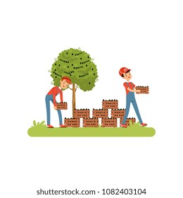 Farmers harvesting olives, workers carrying wooden crates full of ripe olives vector Illustration on a white background