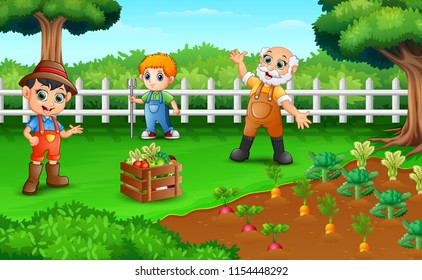 farmers are harvesting the results of their plantations