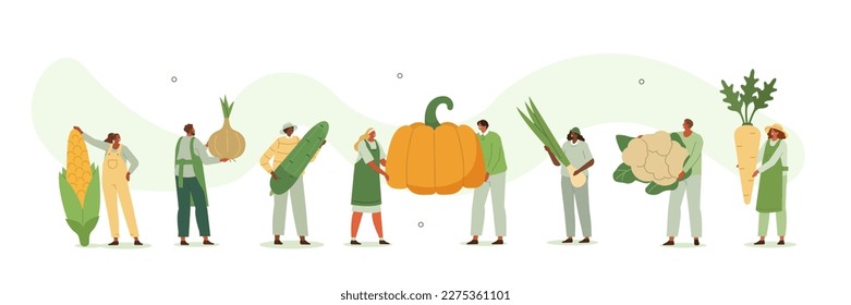 Ilustración de granjeros. Caracteres de los trabajadores agrícolas que cosechan verduras orgánicas frescas de la granja local. El concepto de agricultura sostenible y agricultura a mesa. Ilustración vectorial.
