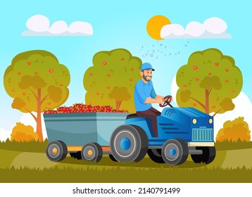 Farmers Loading apples on Tractor Trailer. Local Farm Grown Organic Food, Eco Friendly Seasonal Products. People Producing and Harvesting Natural Production
