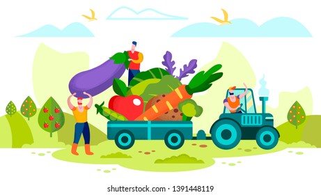 Farmers Loading Ripe Vegetables on Tractor Trailer. Local Farm Grown Organic Food, Eco Friendly Seasonal Products. People Producing and Harvesting Natural Production. Cartoon Flat Vector Illustration.