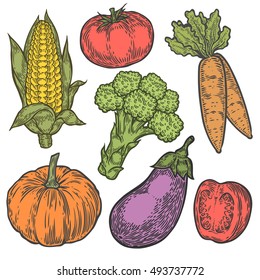 Farmers market badge. Monochrome vintage engraving organic vegetables, wheat and fruits sign isolated on white. Sketch vector hand drawn illustration. Pumpkin, tomato, broccoli, corn, eggplant, carrot