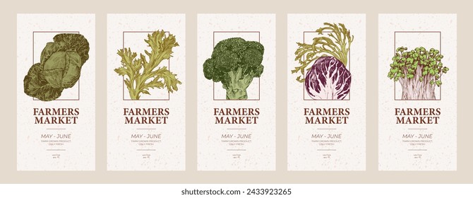 Plantillas de volantes del mercado agrícola. Repollo, lechuga y microvegetales grabados ilustraciones