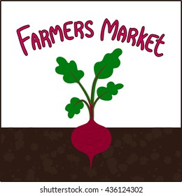 Farmers market label with beet. Fresh and Natural product. Suitable for ads, sign boards, packaging, badges, stickers, stamps, icons and identity and web designs. Organic food. Vector logo.