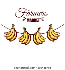 Farmers market. Local food. Bananas isolated on white background. Hand drawn vector illustration