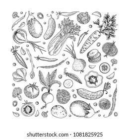 Farmers market menu design template. Vintage hand drawn sketch vector illustration. Linear graphic. Engraved style. Can be used for wrapping paper, flyer, banner, shop, menu, cafe, restaurant