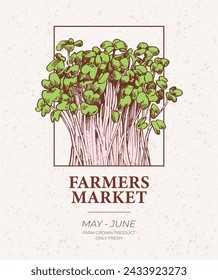 Farmers market poster design. Microgreens engraved illustration