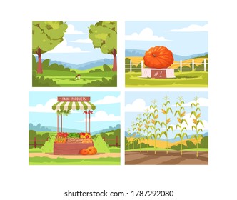 Farmers market scenes semi flat vector illustration set. Counter to sell vegetables from local production. Pumpkin competition. County fair 2D cartoon landscape collection for commercial use