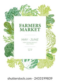 Farmers market vegetable poster. Hand drawn cabbage, lettuce leaves and microgreens. Engraved style graphic elements