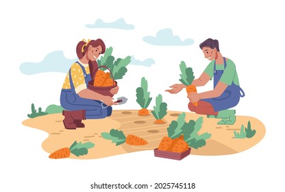 Farmers on field harvesting, collecting ripe carrot from ground. Man and woman working on farm, farming people tending soil. Horticulture and crop care. Cartoon character in flat style vector