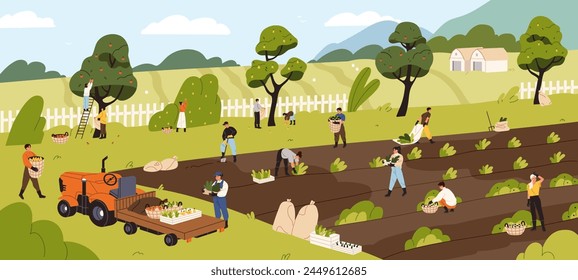 Farmers pick crop of fruit and vegetables in garden. Farm workers gather harvest into baskets and carry it into tractor. People work on rural field, farming. Agriculture. Flat vector illustration