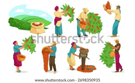Farmers picking coffee beans, processing them with tools and baskets, set on white background. Concept of coffee cultivation. Vector illustration