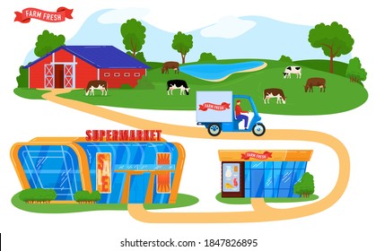 Farmers Products Supply Chain Vector Illustration. Cartoon Flat Courier Character On Truck Delivering Fresh Farmer Eco Food From Village To Supermarket, Grocery Store, Supplying Infographic Background