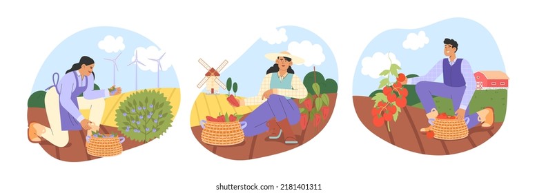 Farmers set. Flat vector illustration with a group of farmers are harvesting. Concept of harvesting people.