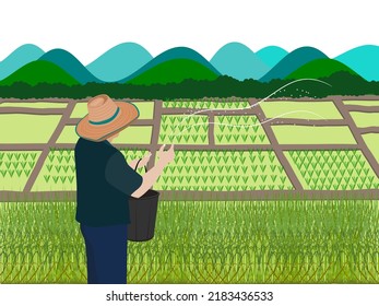 Farmers use chemical fertilizers to grow rice crops.