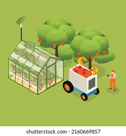 Farmers Use Tablets To Harvest Apple In A Farm Isometric 3d Vector Illustration Concept For Banner, Website, Illustration, Landing Page, Flyer, Etc.