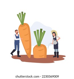 farmers and vegetable in field concept. tiny man take care of plants and woman watering big carrot. Flat vector cartoon character illustration.
