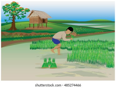 Farmers withdrew into seedlings for planting vector design