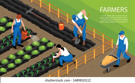 Farmers at work watering harvesting crops  cultivating soil isometric horizontal composition promoting healthy active farmlands vector illustration 