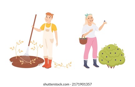 Farmers working on field using rake and picking berries from bush. Farming and agriculture cartoon vector illustration