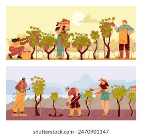 Farmers working in the vineyard, harvesting of wine grapes vector cartoon illustrations set. Loosening, hilling, cultivating and fertilizes grapes plant. Winemaking process, farming agriculture