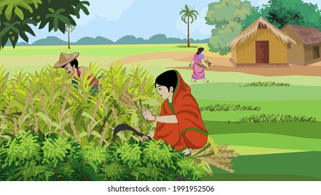 Los agricultores trabajan en los campos de trigo