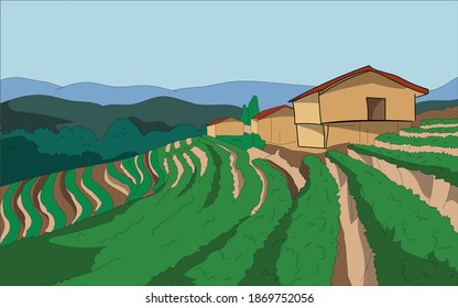 Farmhouse Green Landscape Vector Illustration 