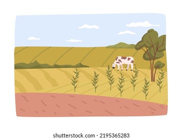 Farming and agricultural business, tending for crops and animals. Field with plants and grazing cow. Countryside area during harvesting season. Vector in flat style