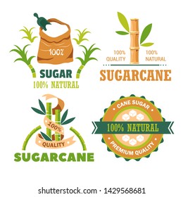 Farming and agriculture sugar cane plantation isolated icons vector  