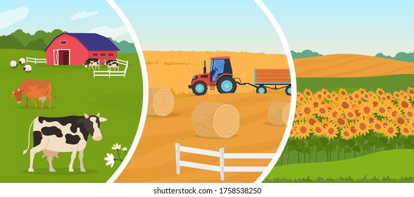 Farming agriculture vector illustration. Cartoon flat agricultural set with herd of animal sheep cows in cattle farm, wheat harvesting farmer tractor, rural farmfield with growing sunflowers harvest