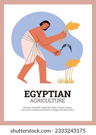 Farming ancient egyptian working on field, growing and harvesting wheat spikelets. People from old Egypt, agriculture and gathering culture. Egyptian agricultural vector flat poster