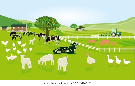 Farming with animals in the pasture