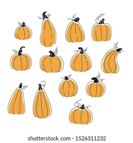 Farming autumn isolated orange pumpkins vegetables