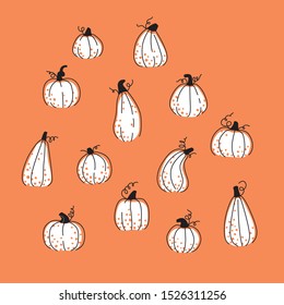 Farming autumn isolated white pumpkins natural vegetables on orange background