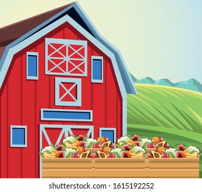 farming barn and box with harvest fruits and vegetables vector illustration