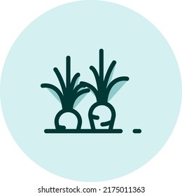 zanahoria cultivadora, ilustración, vector sobre fondo blanco.