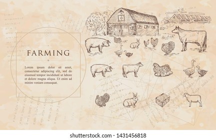 Farming. Cows, geese, chickens, pigs, turkey, farm house. Renaissance background. Medieval manuscript, engraving art 