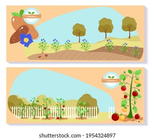 Farming cultivated plot, farmland countryside nature, agronomy hill harvest, design, in cartoon style vector illustration.