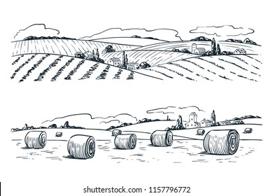 Farming fields landscape, vector sketch illustration. Agriculture and harvesting vintage background. Rural nature view.