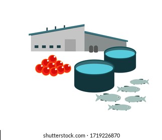 Farming fish, breeding for the growing of fry from caviar. Trout, salmon, tilapia. Production and factory, pools. Vector isolated image 