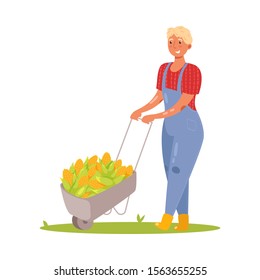 Farming and gardening man with corn crop in wheelbarrow. Vector illustration in flat cartoon style.